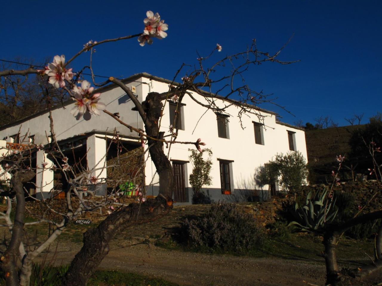 Casa Rural El Paraje De Bérchules エクステリア 写真